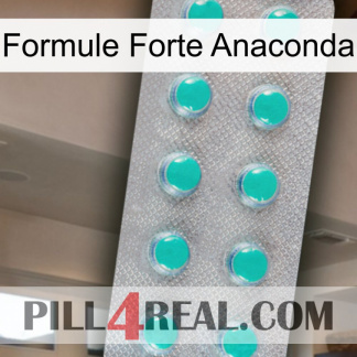 Anaconda Strong Formula 28